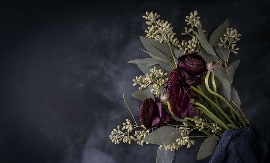 Deep plum ranunculus and eucalyptus laid on dark slate.